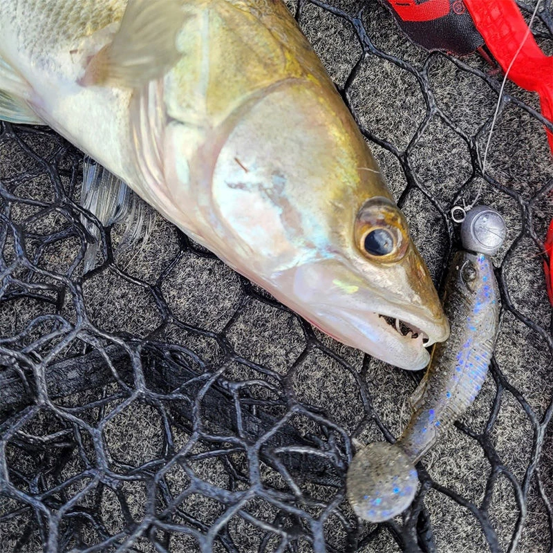 Rapala CrushCity The Mayor Lures 6cm